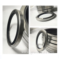 Double Lip Rubber NBR FKM Viton Oil Seal